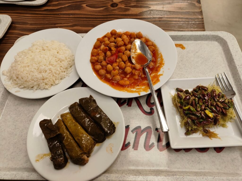Lokanta tray with rice, chickpeas, stuffed grape leaves and a pistachio dessert in Turkey